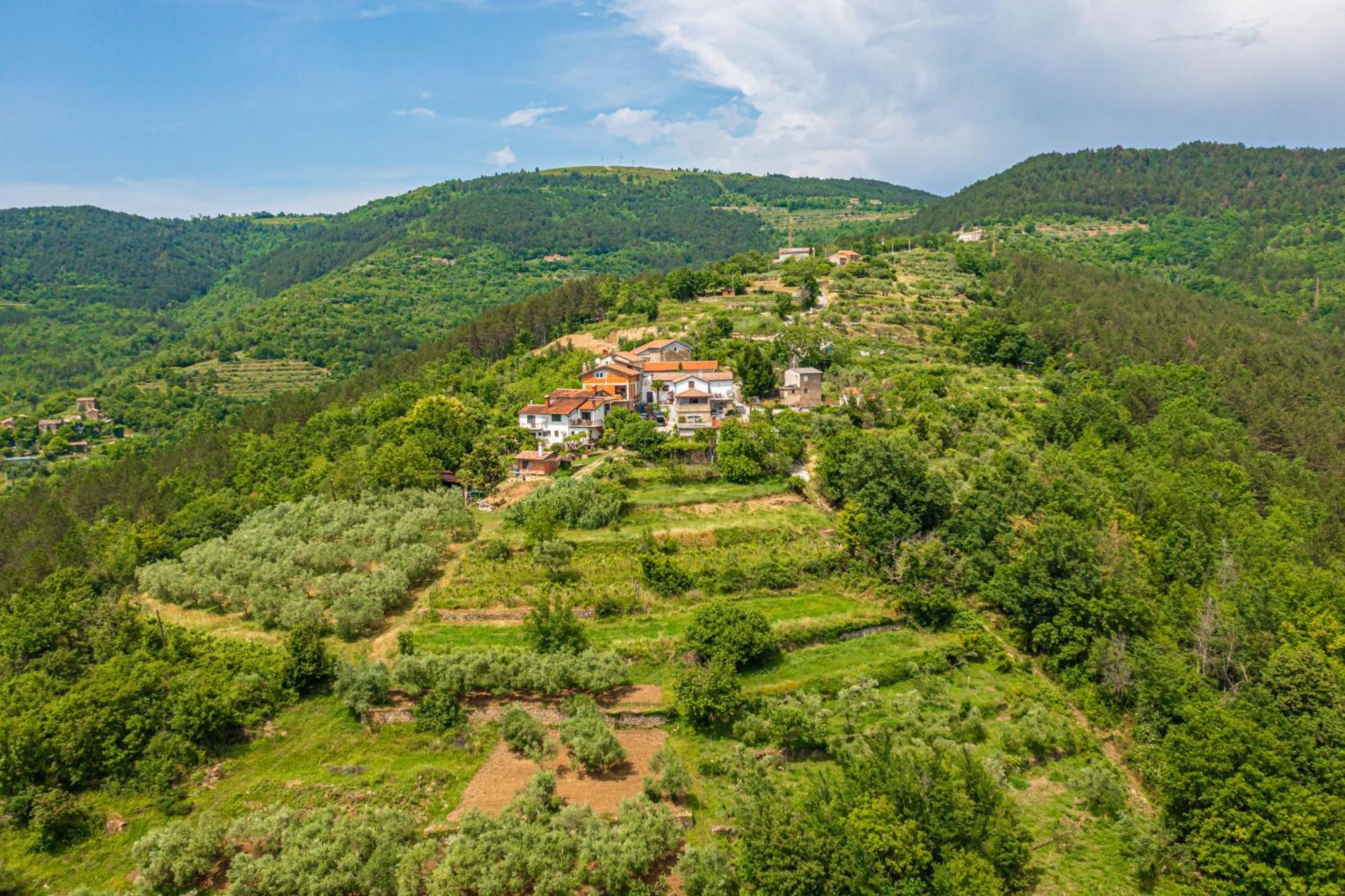 Holiday Home Belveder Motovun With Heated Pool Livade Exterior foto